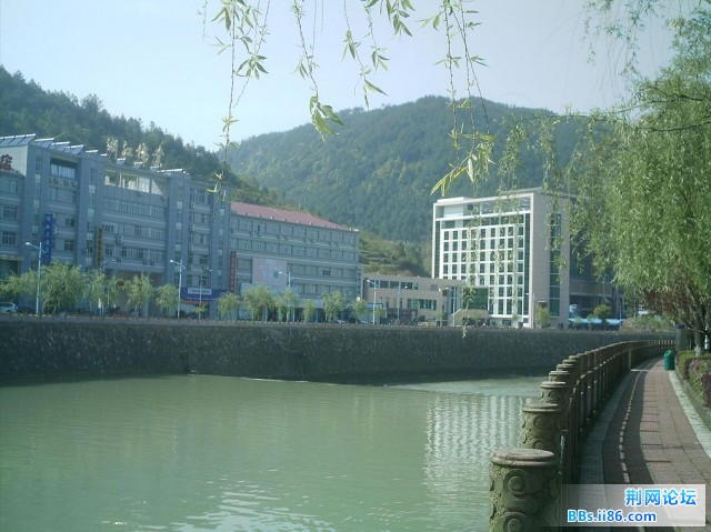 IMAG0011.JPG