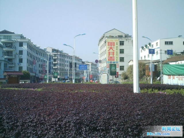 IMAG0014.JPG