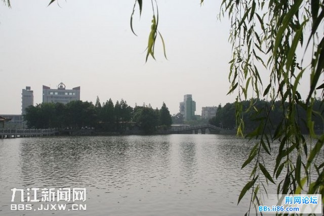 200961513214662835.jpg