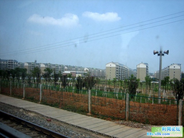 2008572248393361.jpg