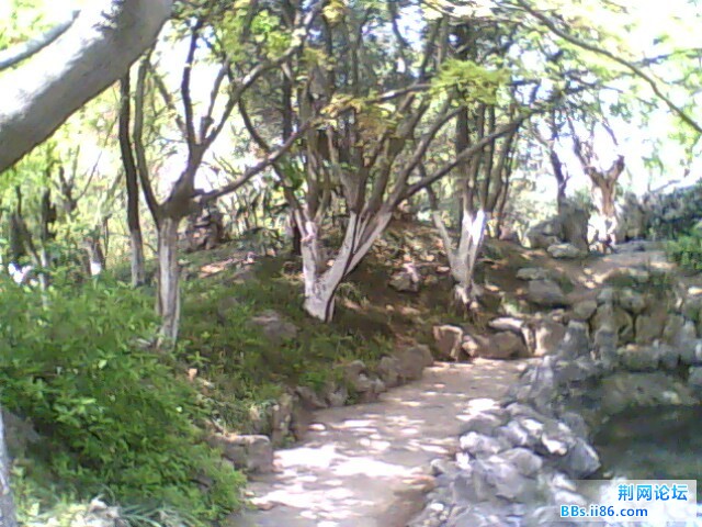 IMG0786A.jpg