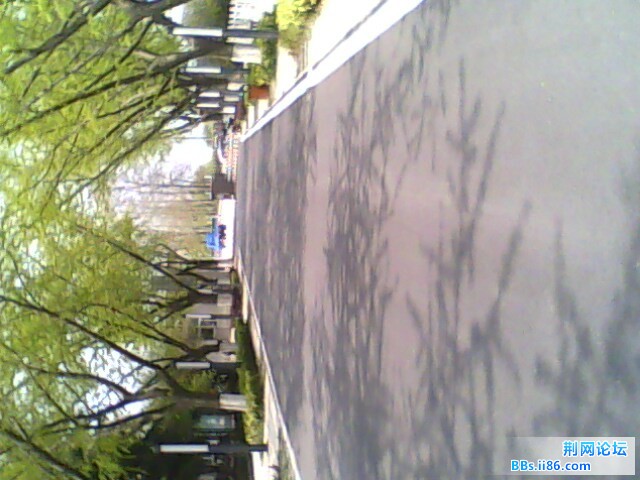 IMG0789A.jpg