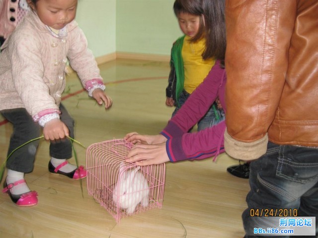 IMG_7747.jpg