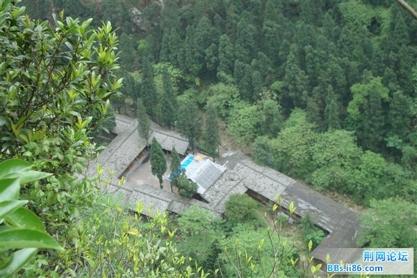 DSC02404_副本.jpg