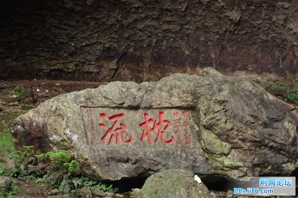 DSC02398_副本.jpg