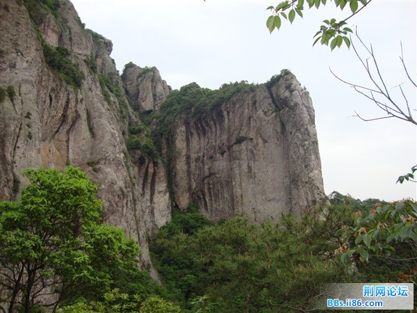 DSC02393_副本.jpg