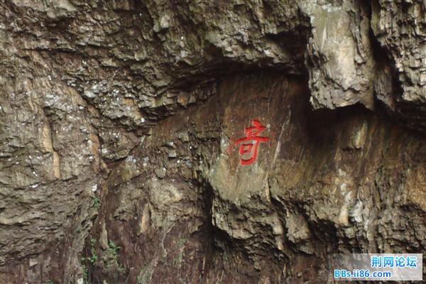 DSC02396_副本.jpg
