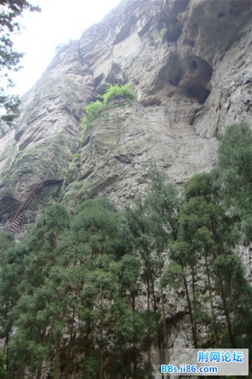 DSC02410_副本.jpg