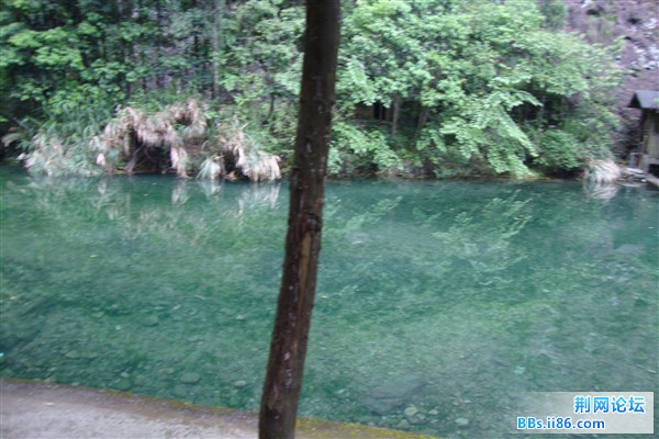 DSC02414_副本.jpg