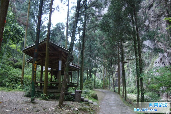 DSC02412_副本.jpg