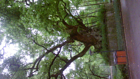 DSC00188.JPG