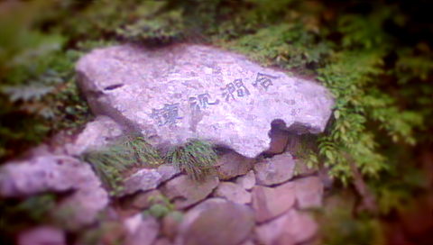 DSC00265.JPG