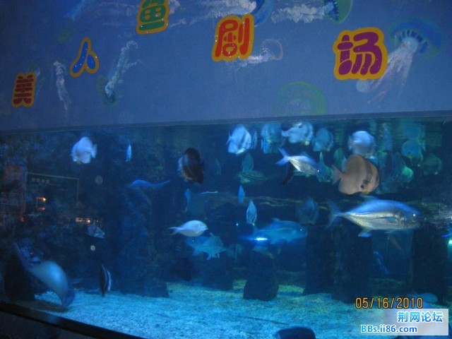 IMG_8976.JPG