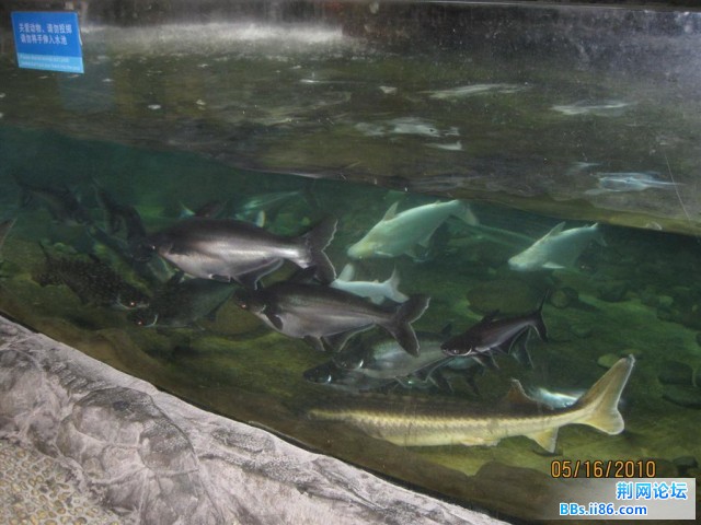 IMG_8946.JPG