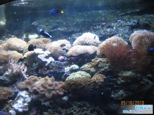IMG_8967.JPG
