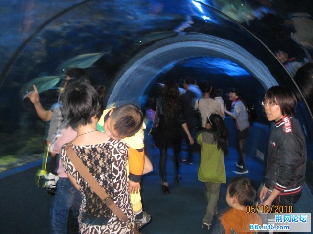 IMG_8979.JPG