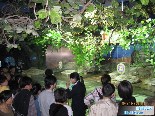 IMG_9015.JPG