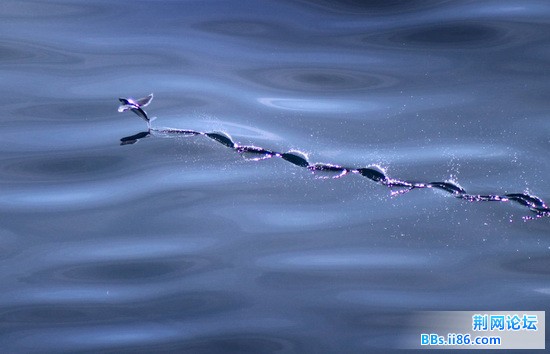 12120200_11n.jpg