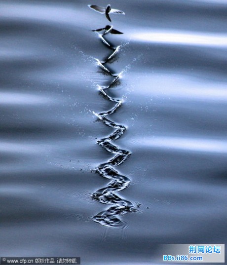 12120200_21n.jpg