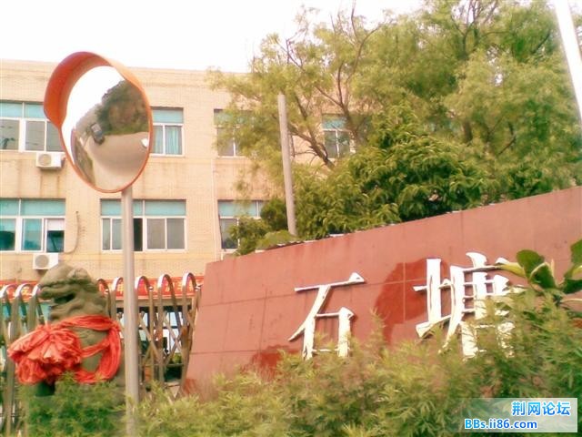 图像206_副本.jpg