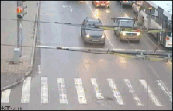 ppd.gif