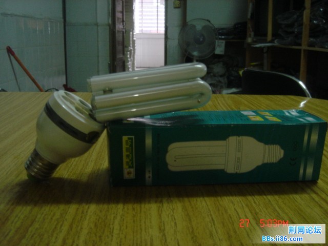 DSC04779.JPG