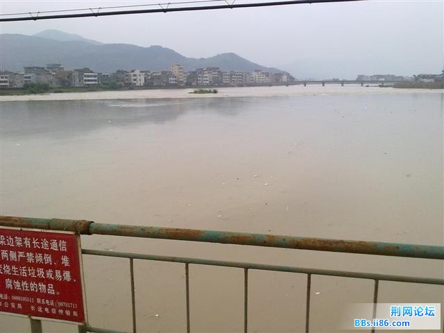 20100620089.jpg