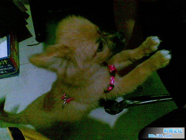 20100706(002).jpg