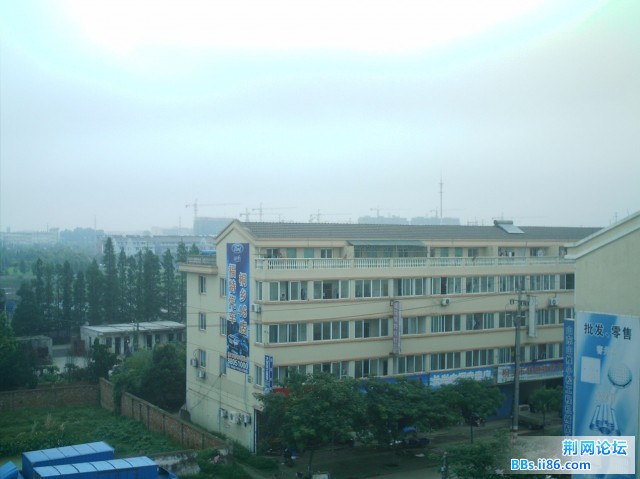 IMAG0025.JPG