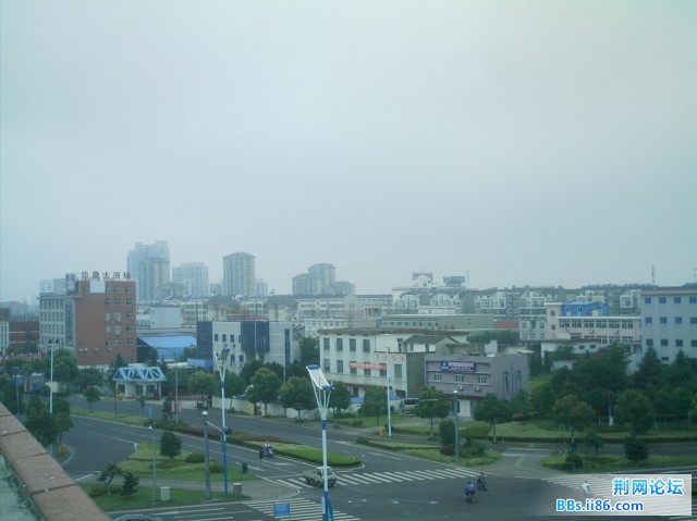 IMAG0019.JPG