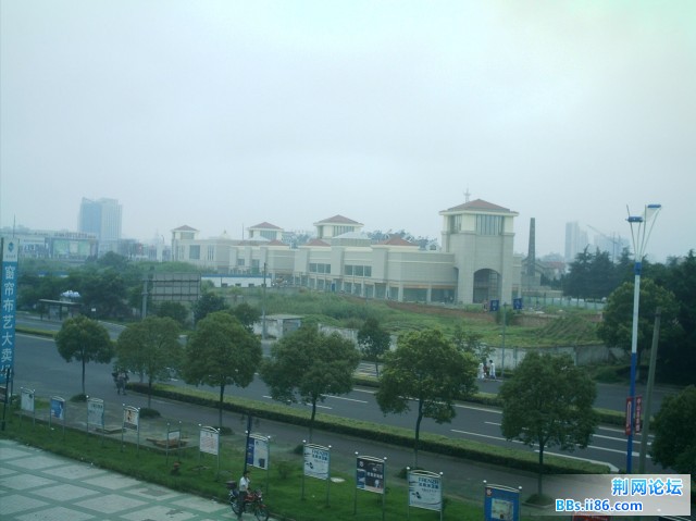 IMAG0016.JPG