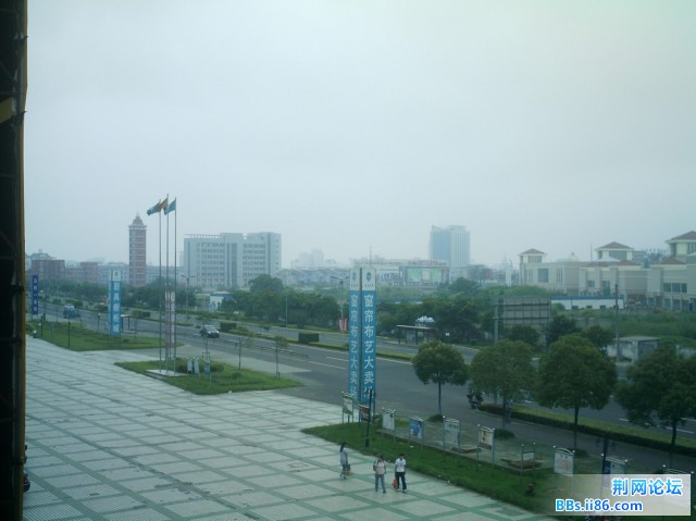 IMAG0017.JPG
