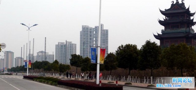 03CA04E3.jpg
