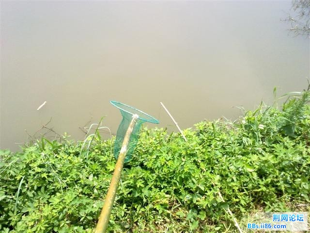 20100711205.jpg