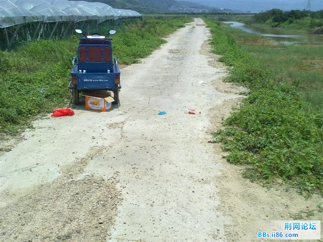 20100711207.jpg
