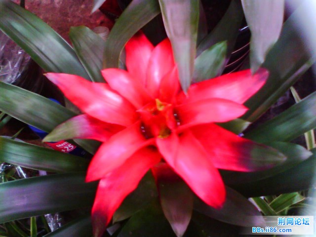 IMG0282A.jpg