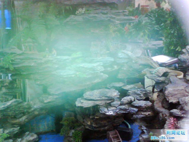 IMG0273A.jpg