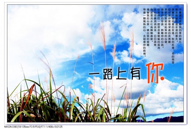 湖雾08_副本.jpg