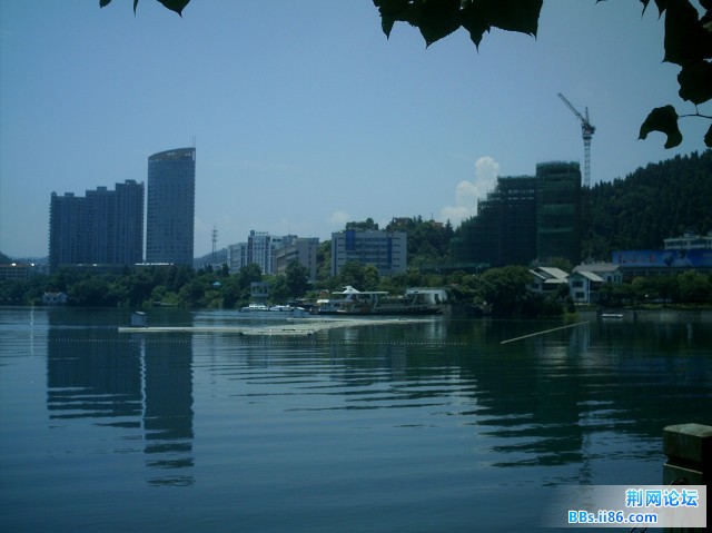 IMAG0032.JPG