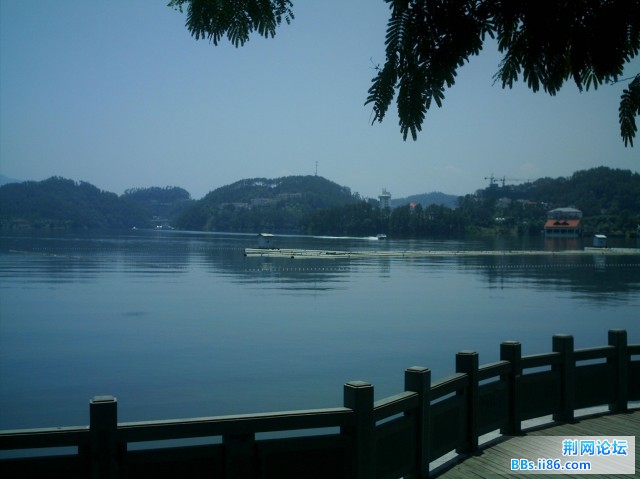 IMAG0030.JPG