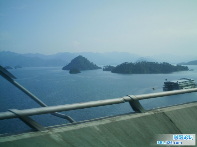IMAG0071.JPG