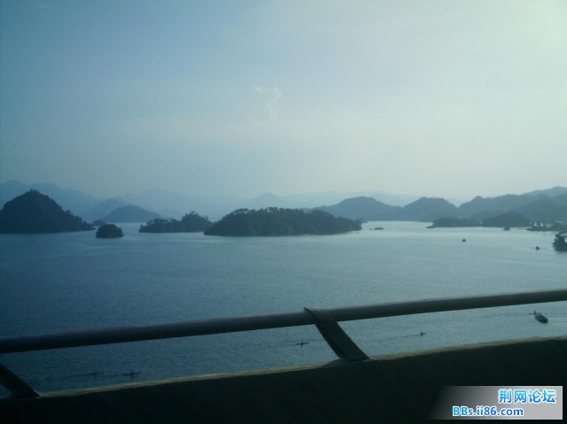 IMAG0077.JPG