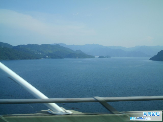 IMAG0073.JPG