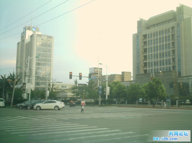 IMAG0115.JPG