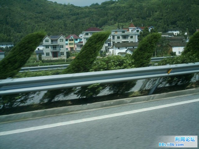 IMAG0026.JPG