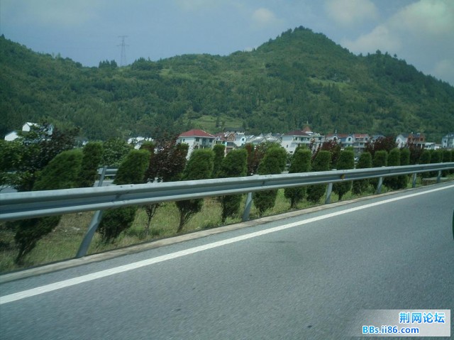 IMAG0024.JPG