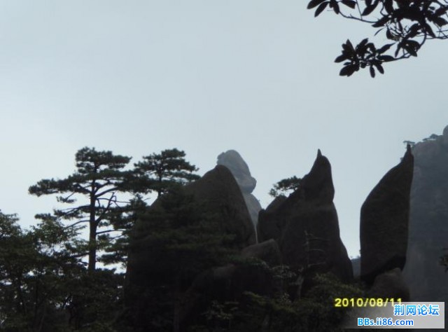 两只企鹅.jpg