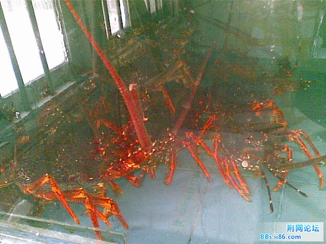 20100312(001).jpg