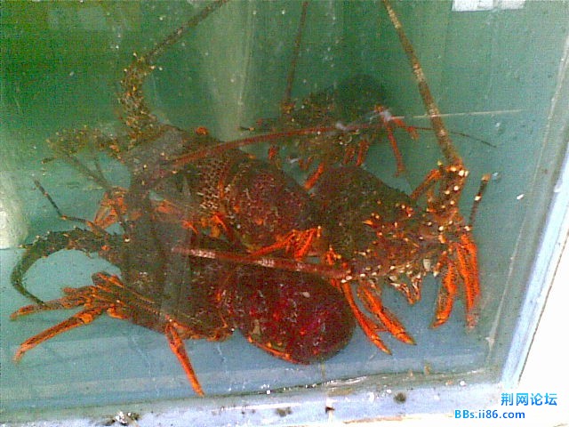 20100312.jpg