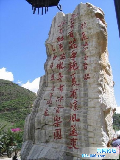 0872208192745598[1].jpg